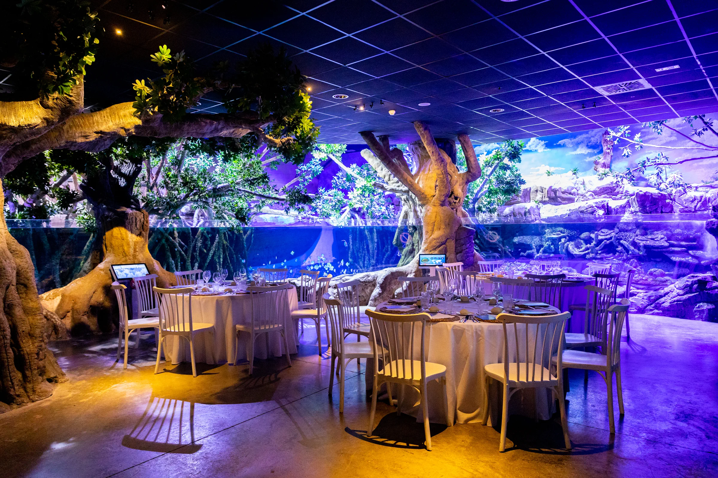 Evento corporativo en el acuario