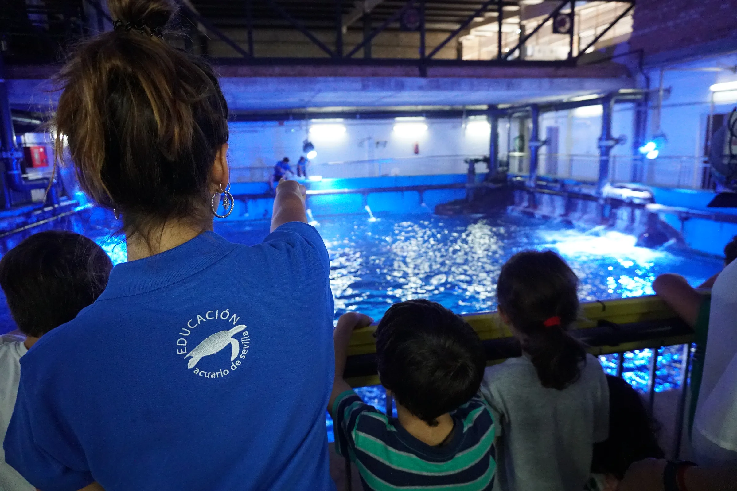 Promotional poster for an activity at the aquarium