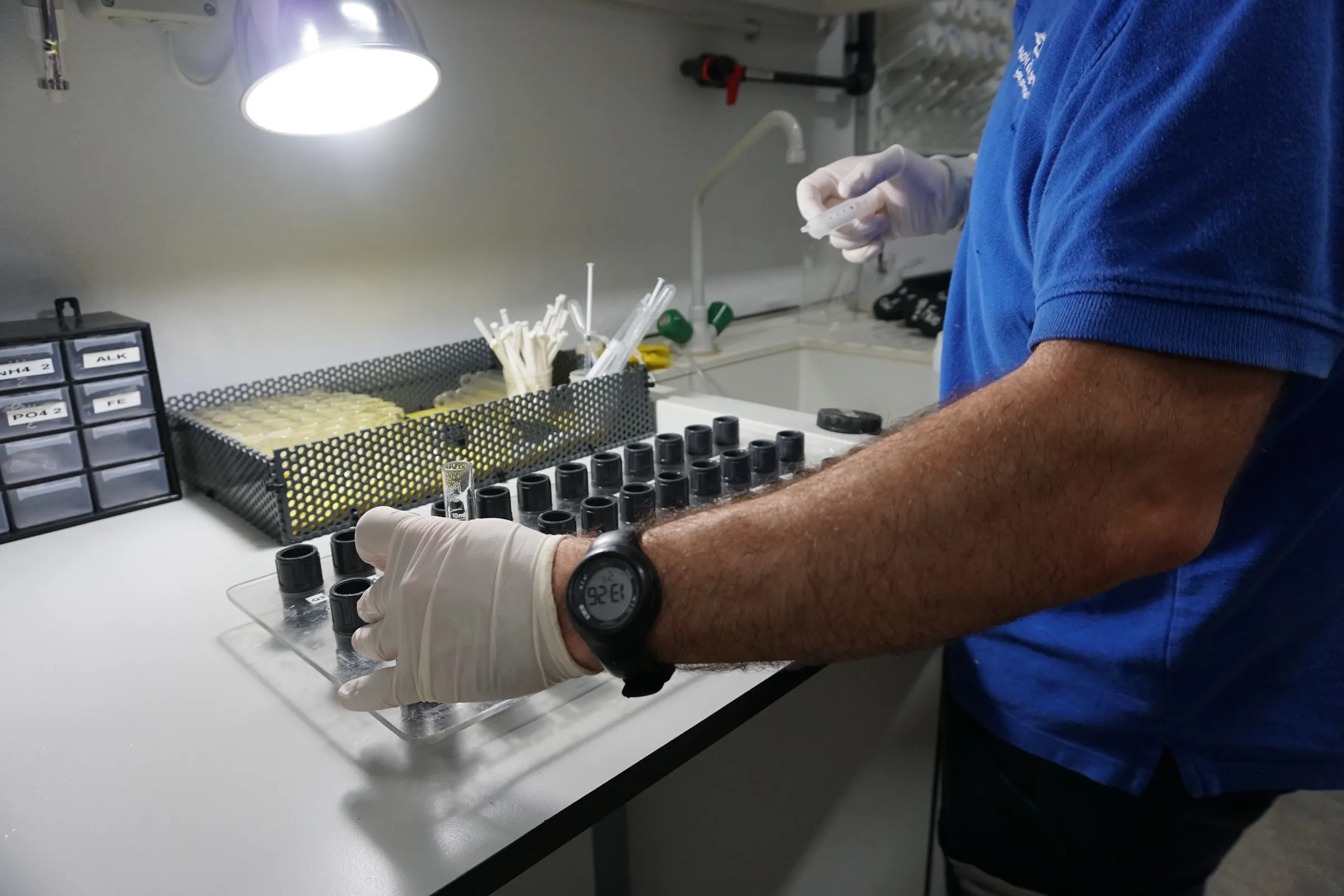 Aquarium Laboratory aquarium research