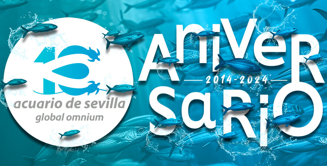 The Seville Aquarium Begins Celebrating its Tenth Anniversary