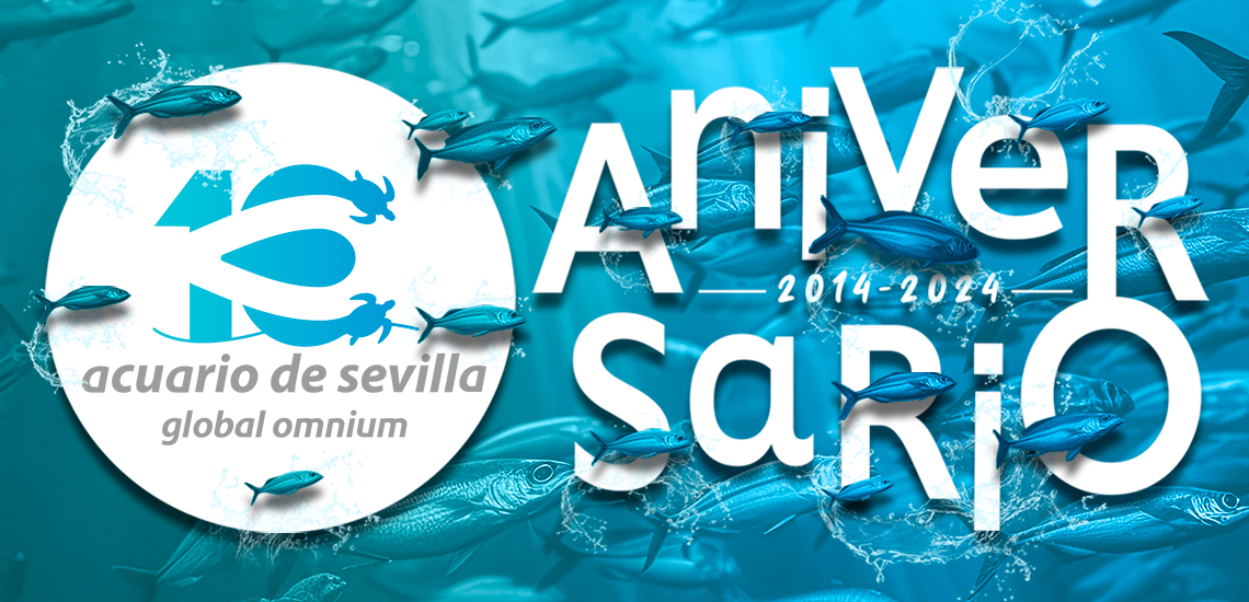 The Seville Aquarium Begins Celebrating its Tenth Anniversary