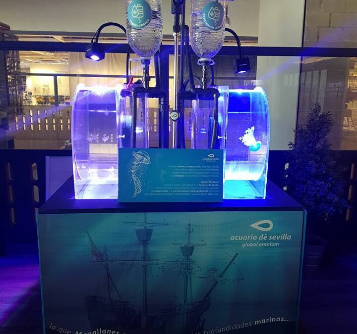 The Seville Aquarium Organizes Environmental Education Workshops at IKEA Seville