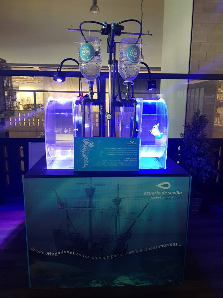 The Seville Aquarium Organizes Environmental Education Workshops at IKEA Seville