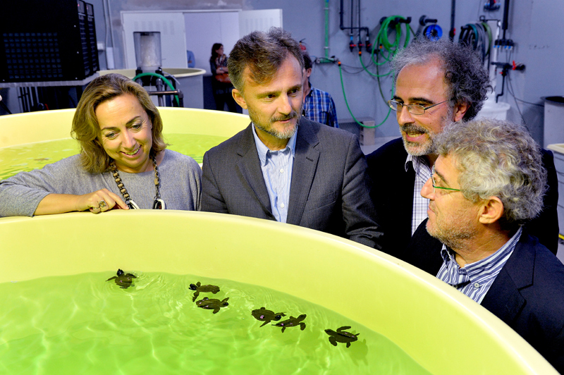 The Minister of Environment Visits the Aquarium to Learn about the Evolution of Loggerhead Turtle Hatchlings