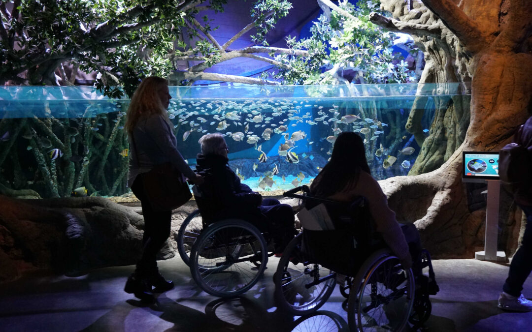 The Seville Aquarium Joins the Andaluces Compartiendo Initiative