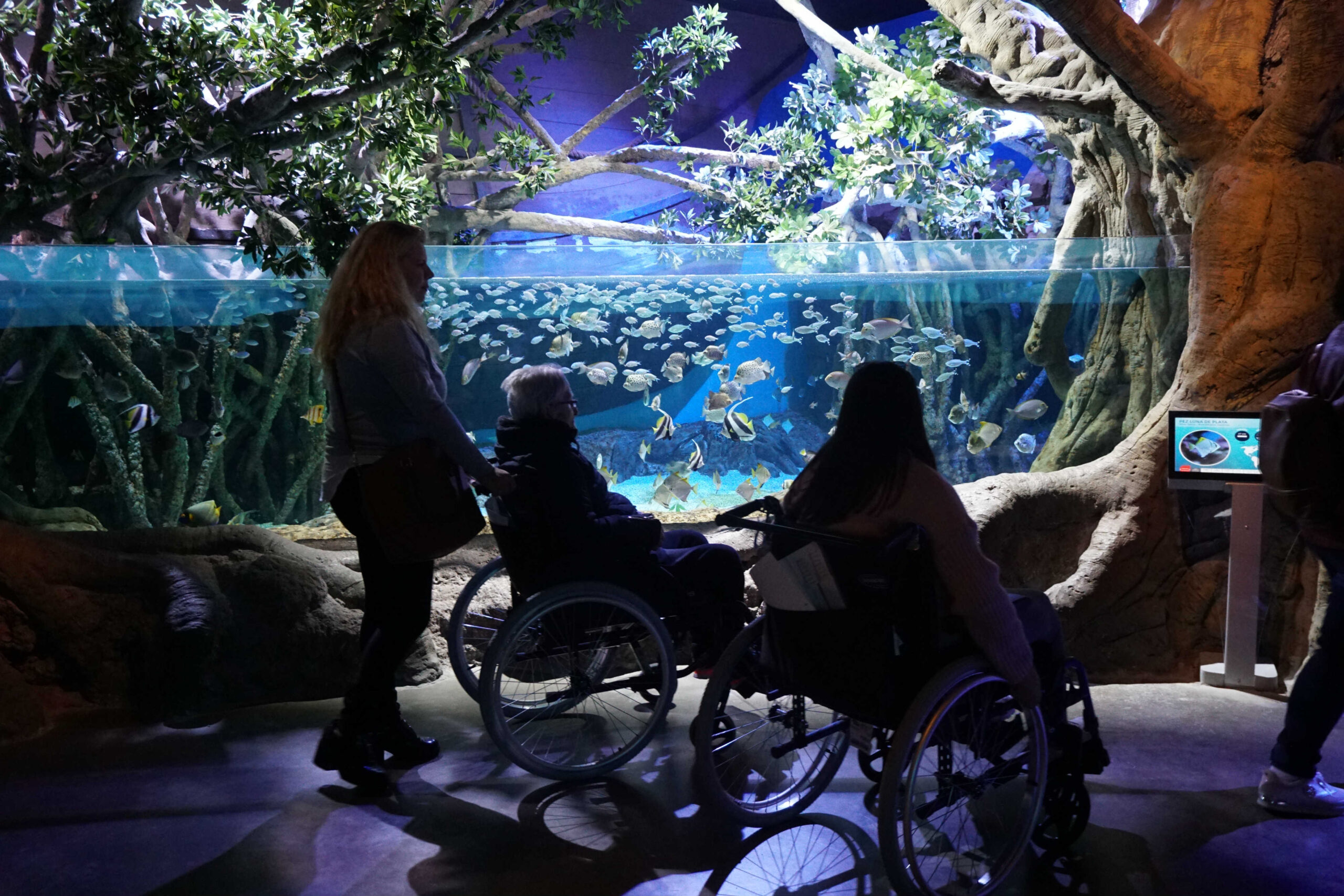 On the occasion of the International Day of Persons with Disabilities
