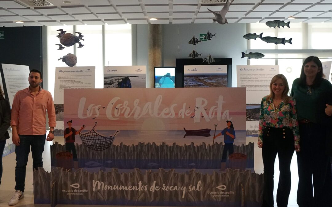 The Seville Aquarium Hosts an Exhibition on the Rota Fishing Corrals