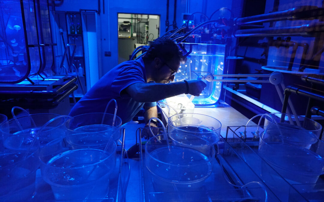 The Seville Aquarium Participates in Science Week