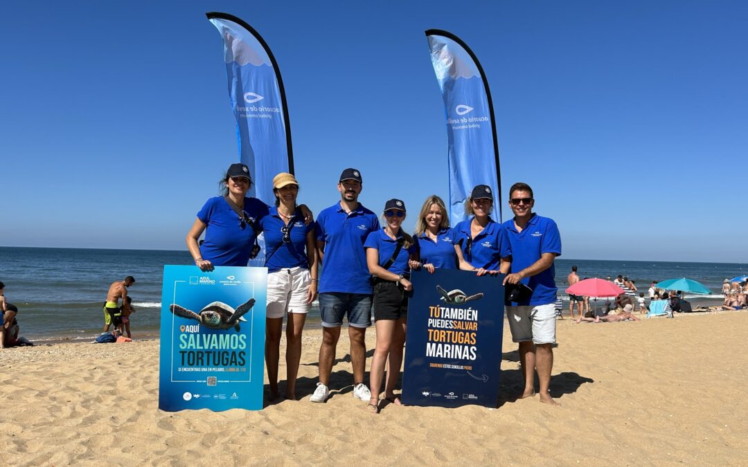 Sea Turtle Awareness Day in Punta UmbríA