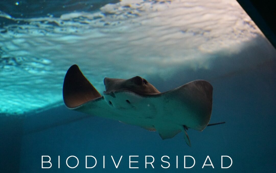 Instagram Contest for World Biodiversity Day