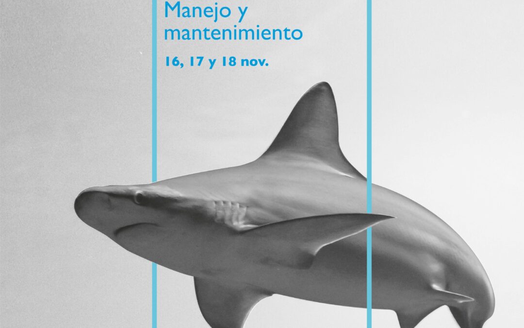 Fourth Edition of the Shark Course at the Seville Aquarium