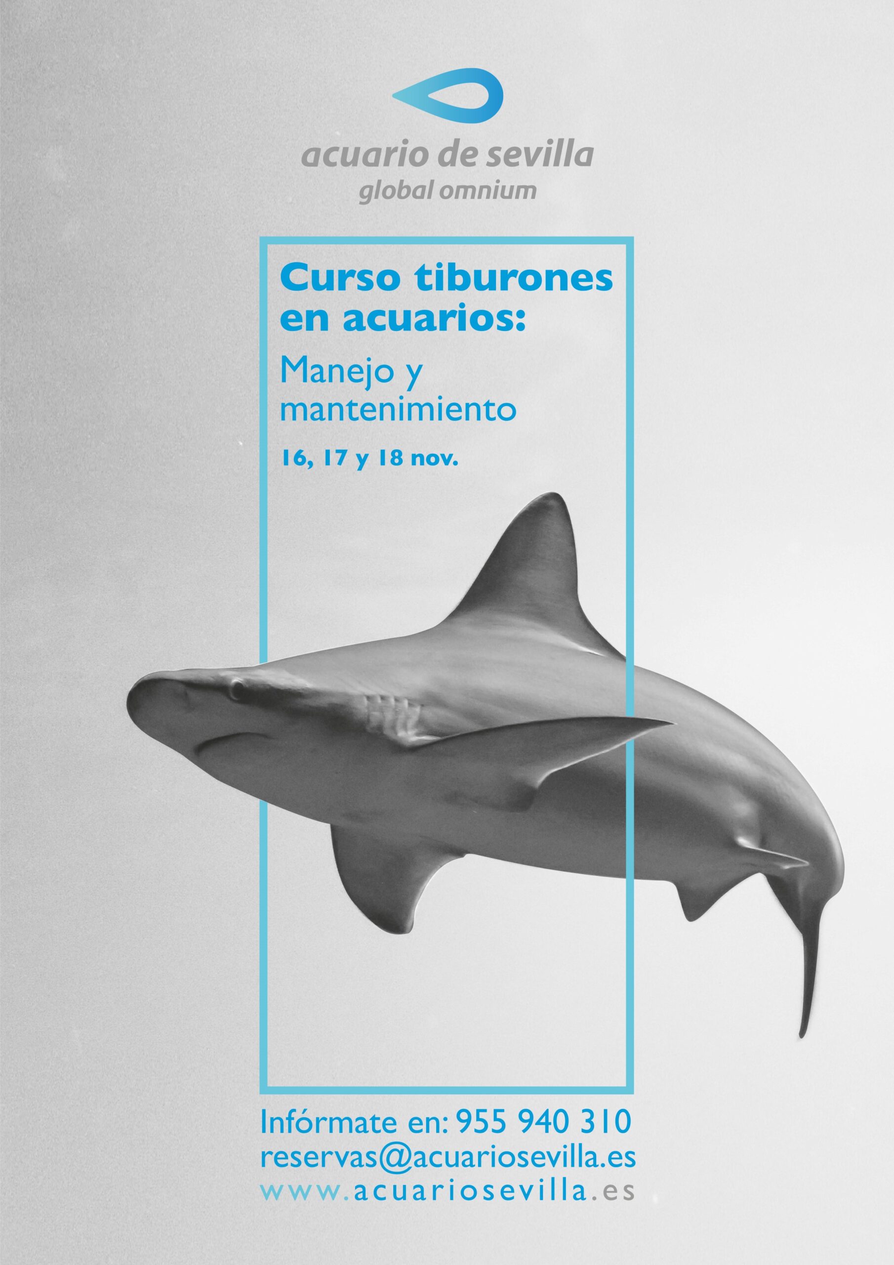Fourth Edition of the Shark Course at the Seville Aquarium