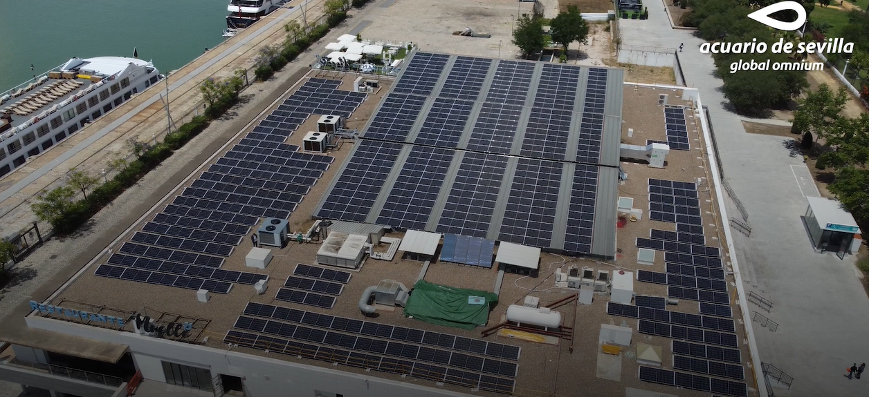 The Sevillian Center Reinforces its Commitment to the Environment