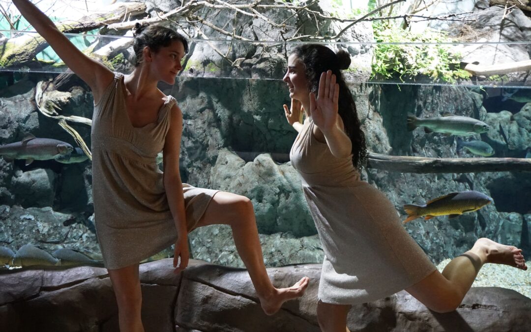 Dance under the Sea at the Seville Aquarium