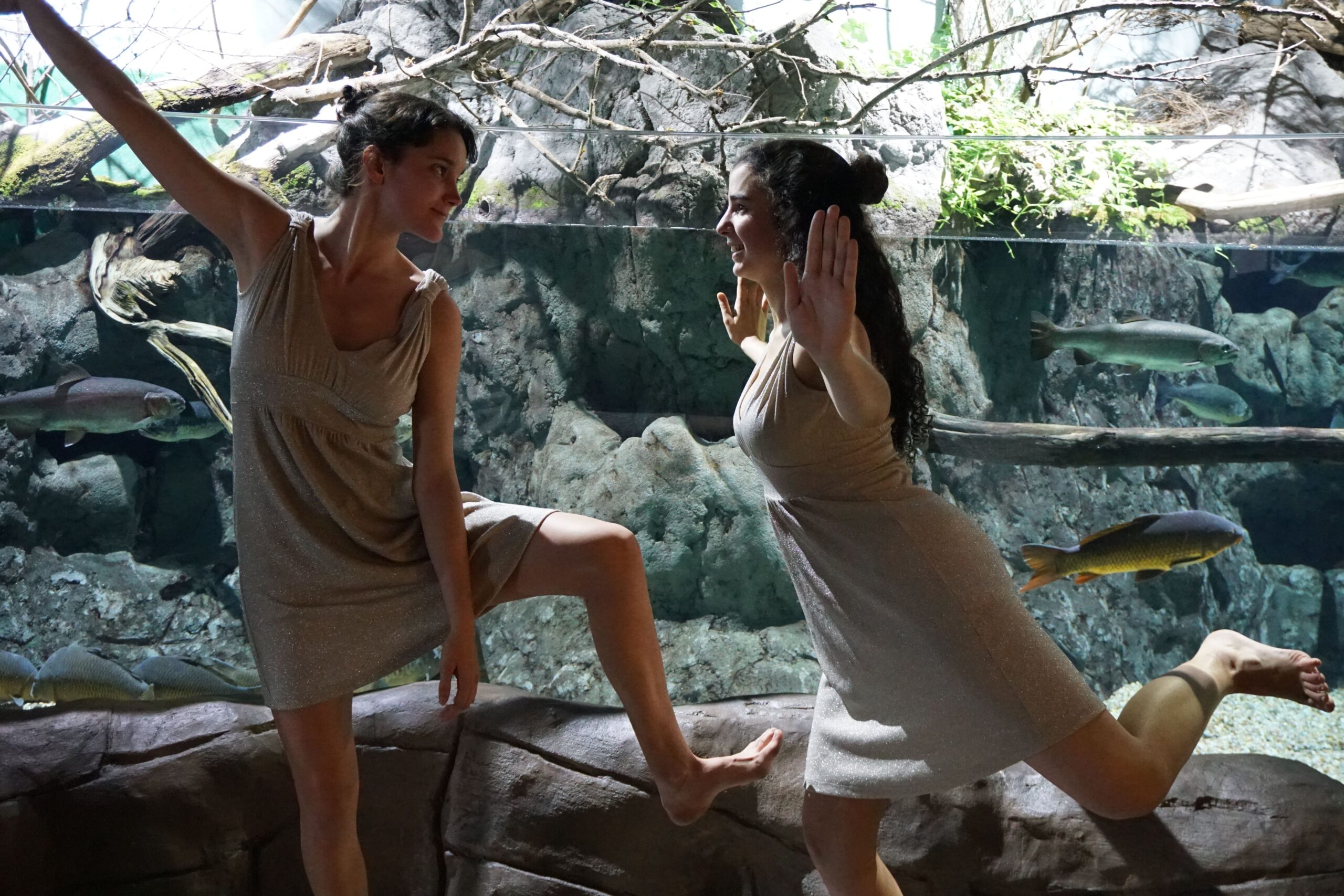 Dance under the Sea at the Seville Aquarium