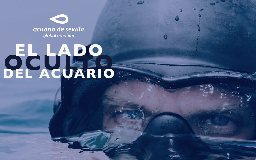The Seville Aquarium Launches an Autumn Full of Activities