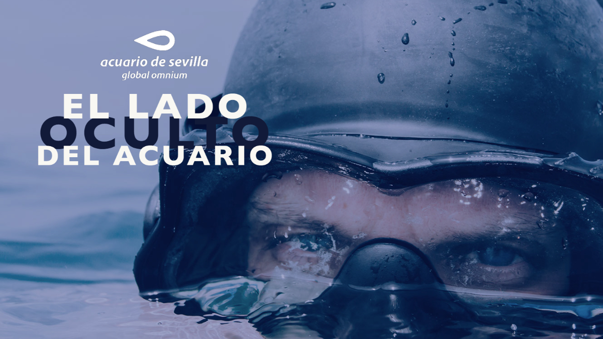 The Seville Aquarium Launches an Autumn Full of Activities