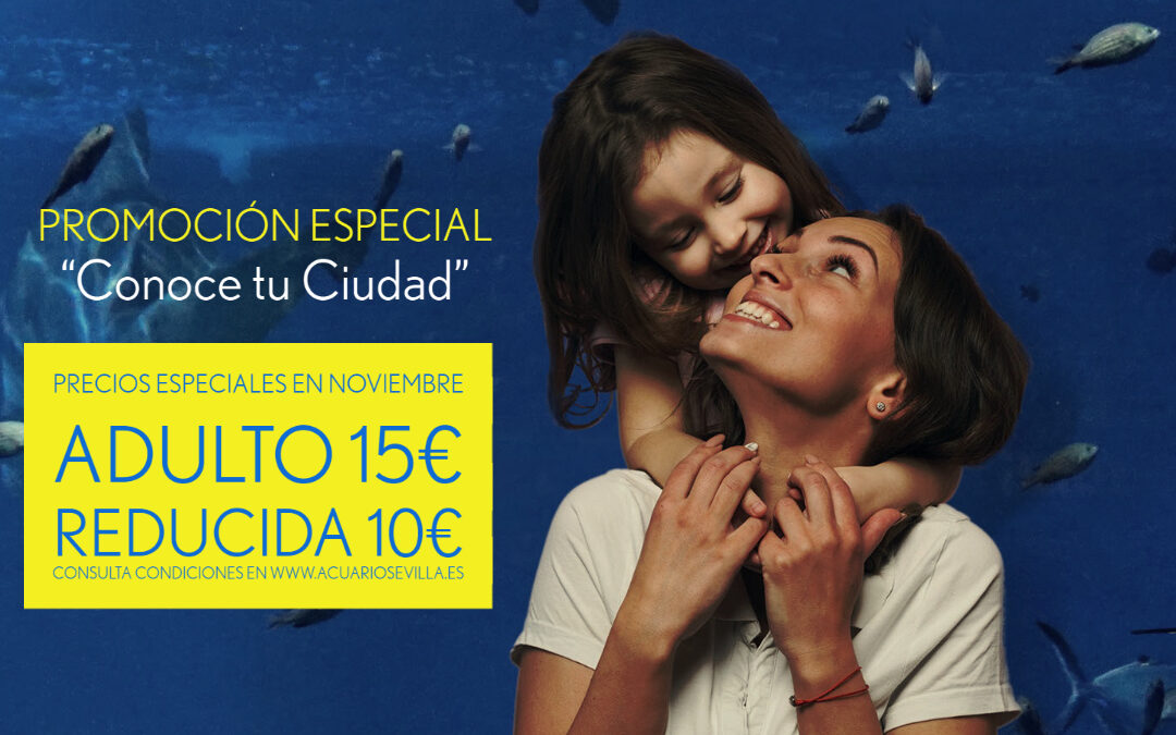 A Safe Plan to Do in Seville