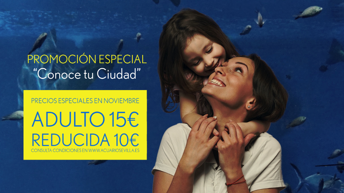 A Safe Plan to Do in Seville