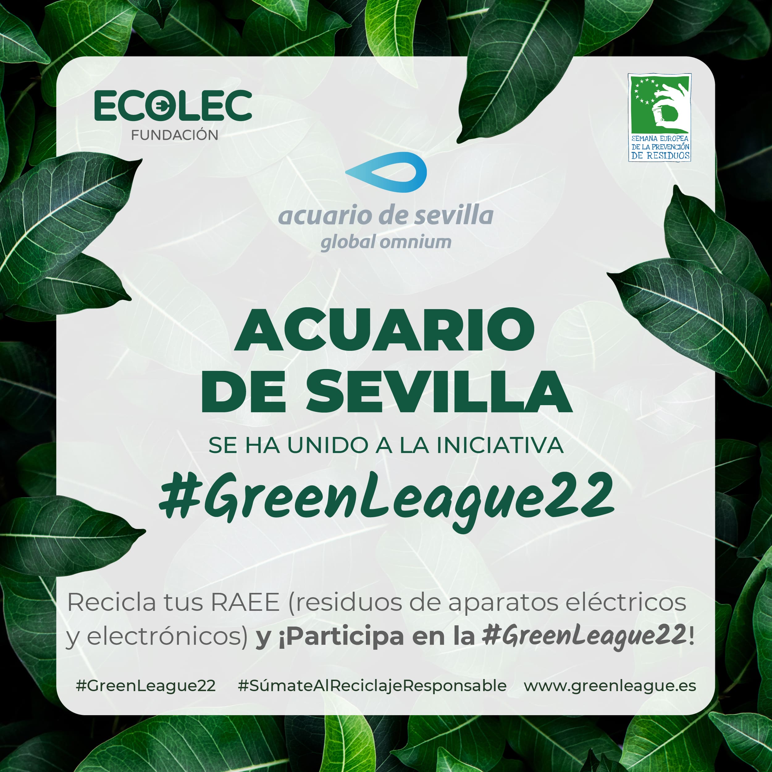 The Seville Aquarium Joins the Fifth Edition of the GreenLeague Campaign