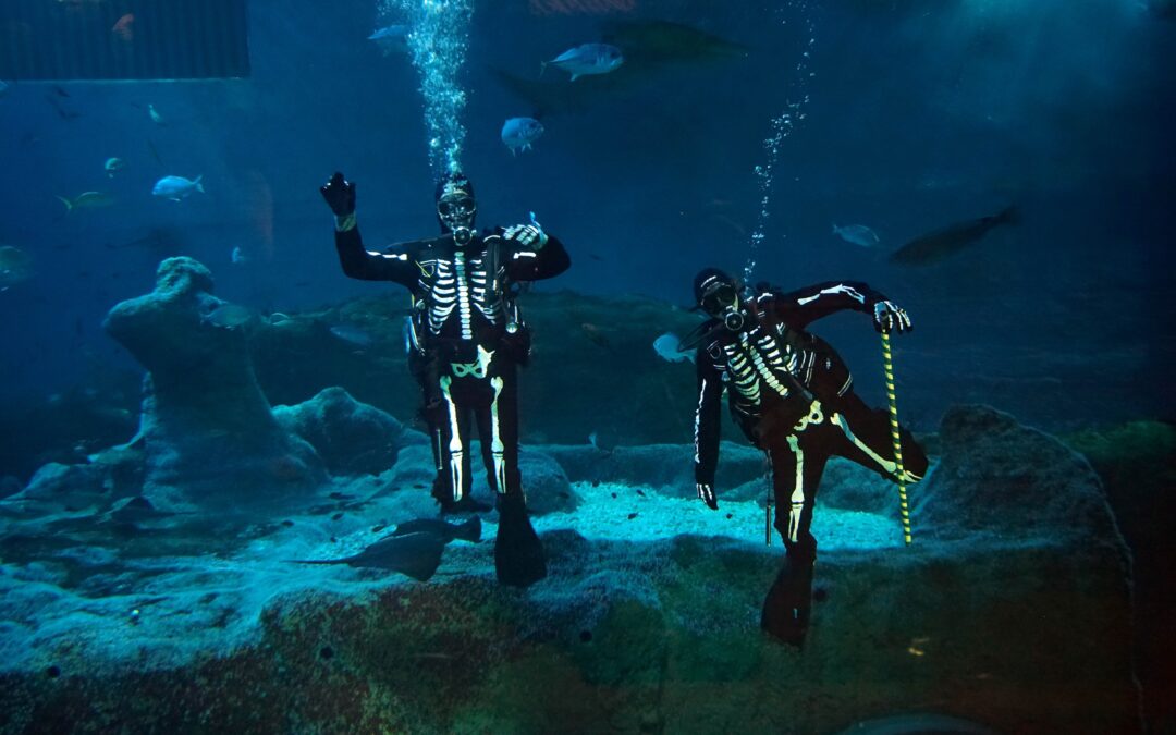 Halloween among Sharks