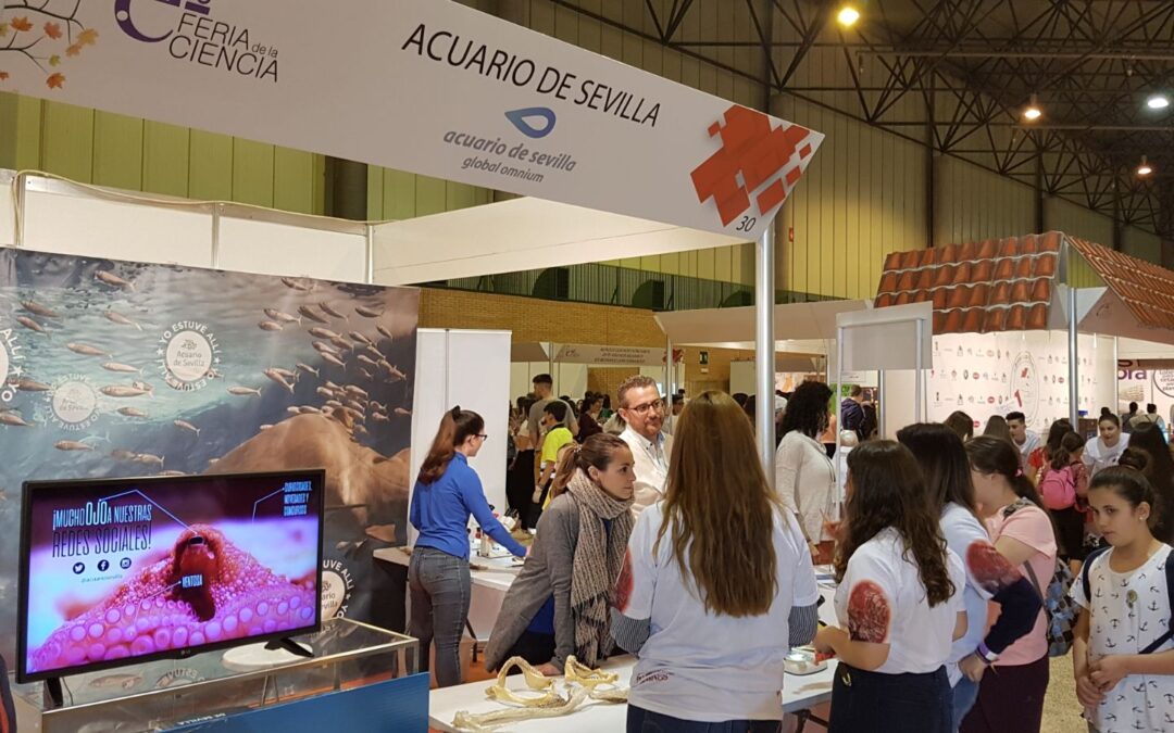 Science Fair 2019