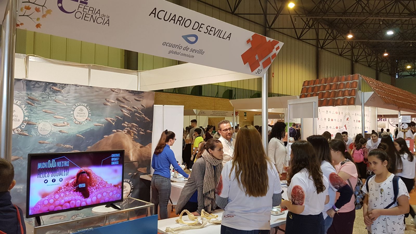 Science Fair 2019