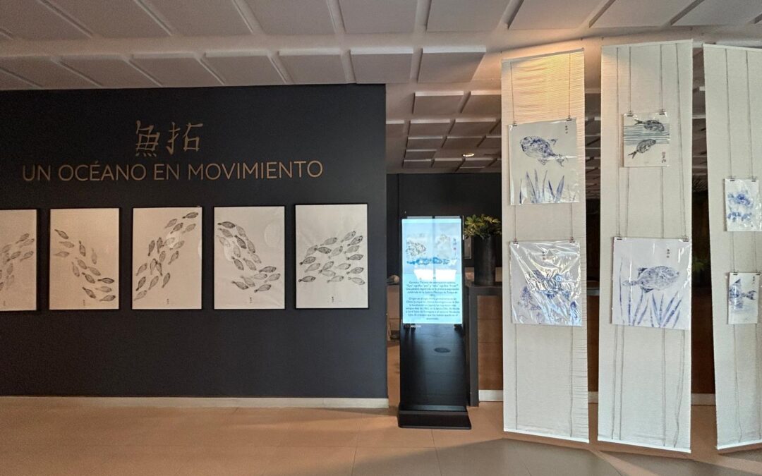New Exhibition “an Ocean in Motion”