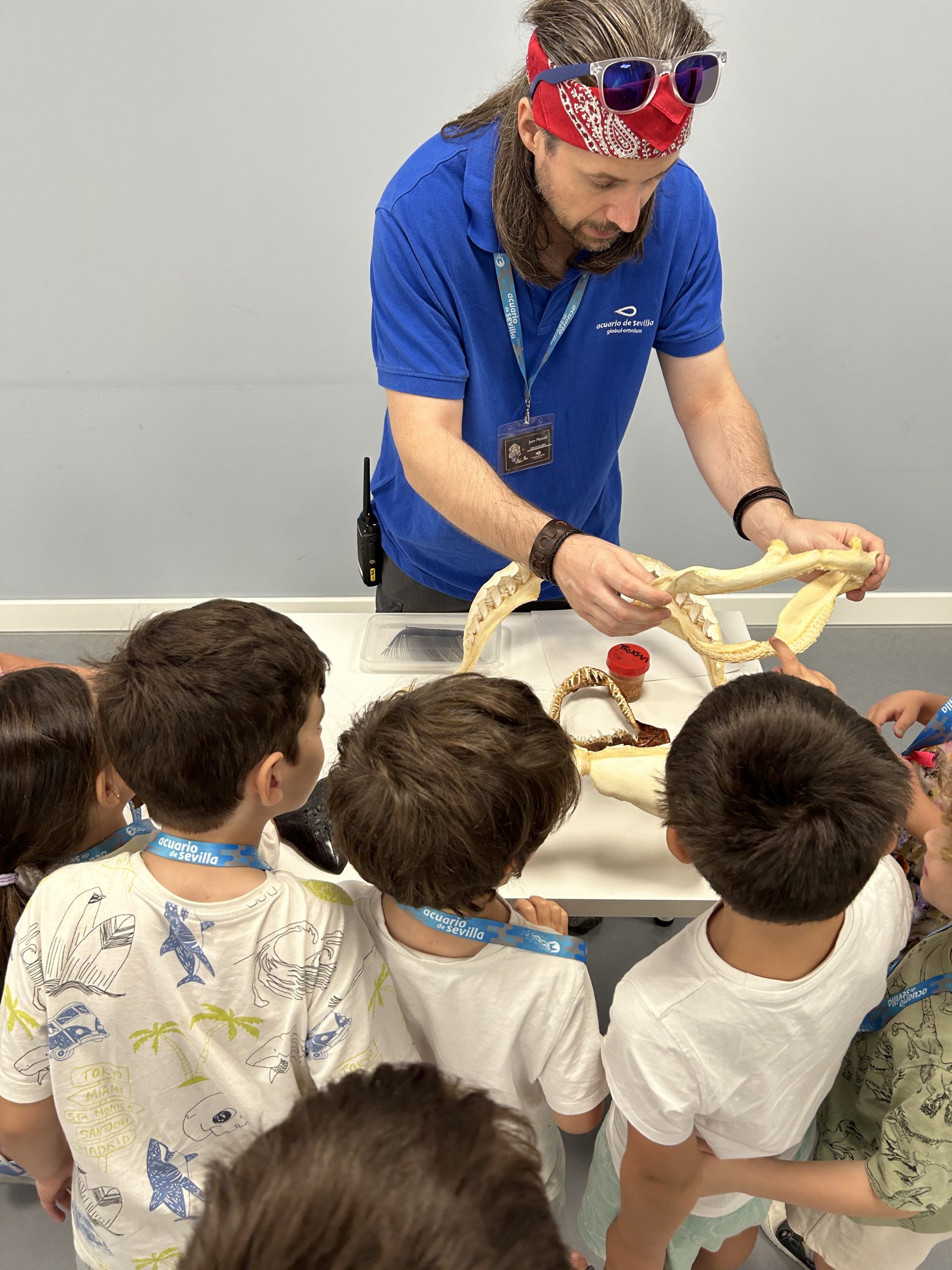 The Seville Aquarium Aims to Turn Children into Protectors of the Guitar Fish