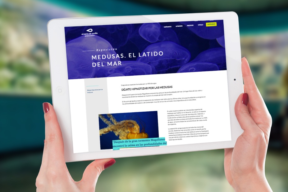 The Seville Aquarium Presents its New Website