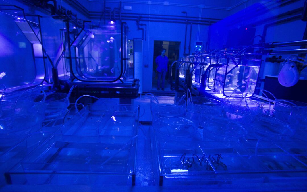 The Seville Aquarium is the First in the World to Certify the Life Cycle Analysis of the Activity
