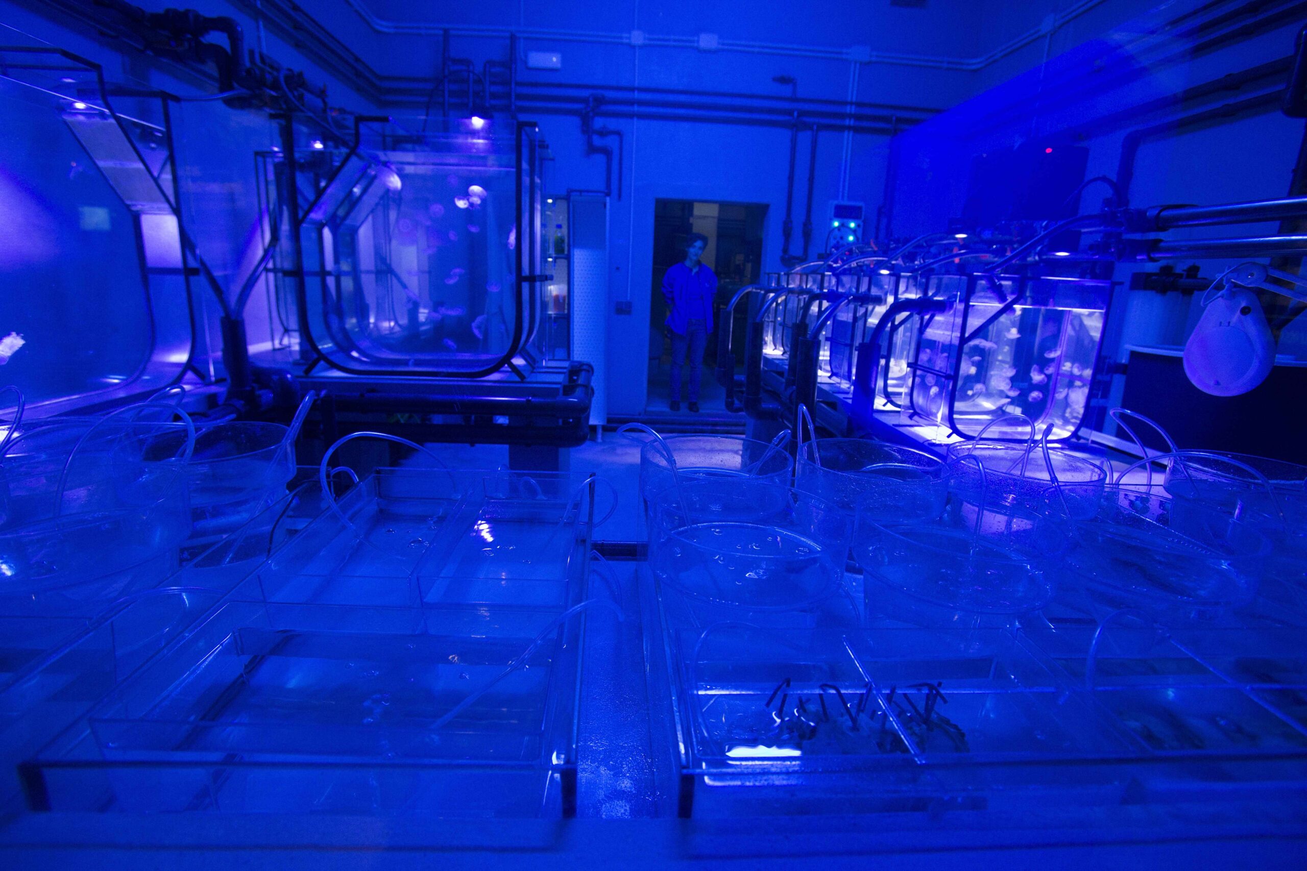 The Seville Aquarium is the First in the World to Certify the Life Cycle Analysis of the Activity