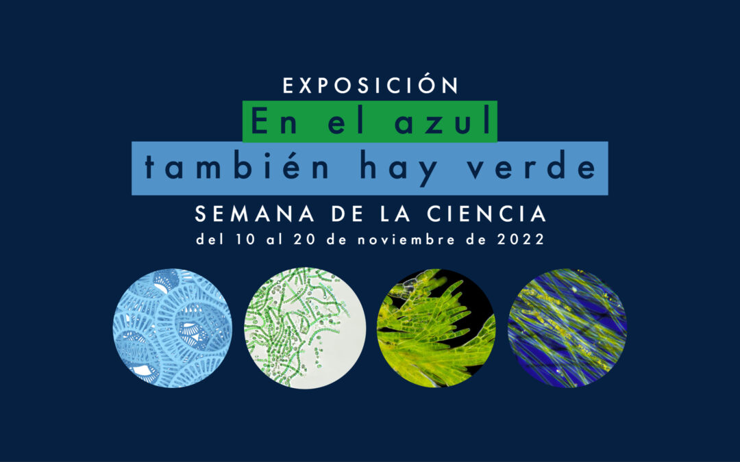 The Seville Aquarium Participates in Science Week