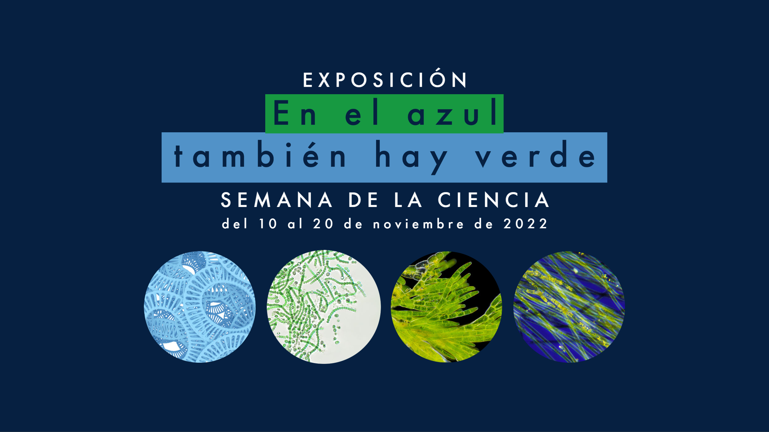 The Seville Aquarium Participates in Science Week
