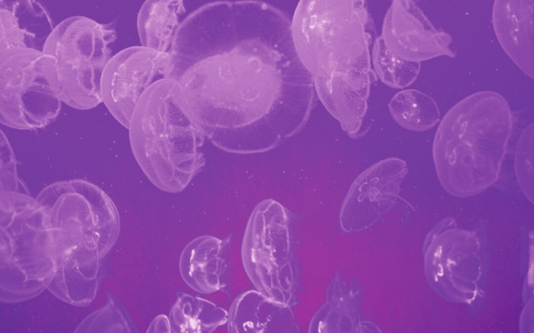 The New Seville Aquarium Inaugurates its Facilities on may 24