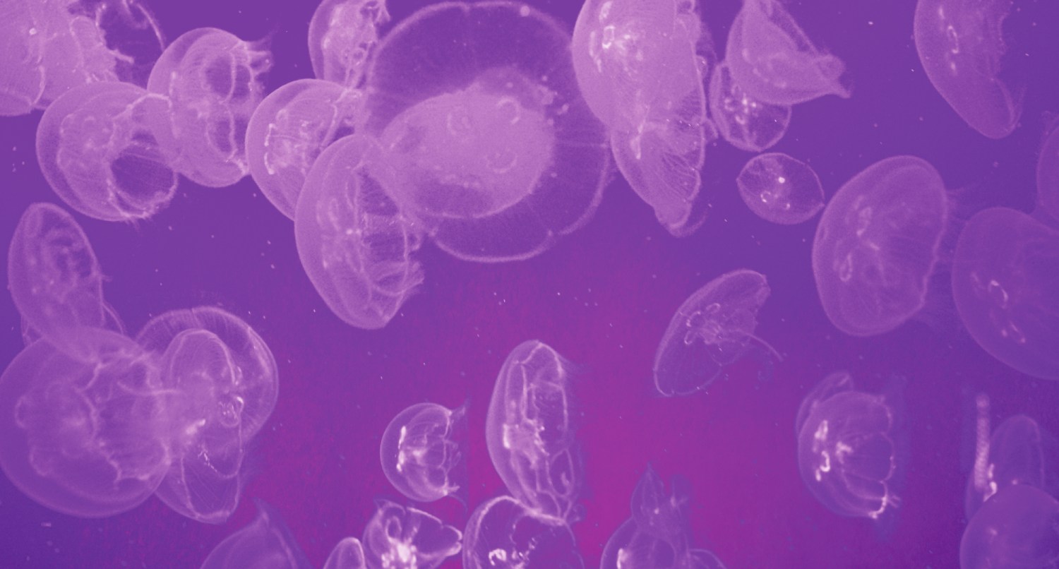 The New Seville Aquarium Inaugurates its Facilities on may 24