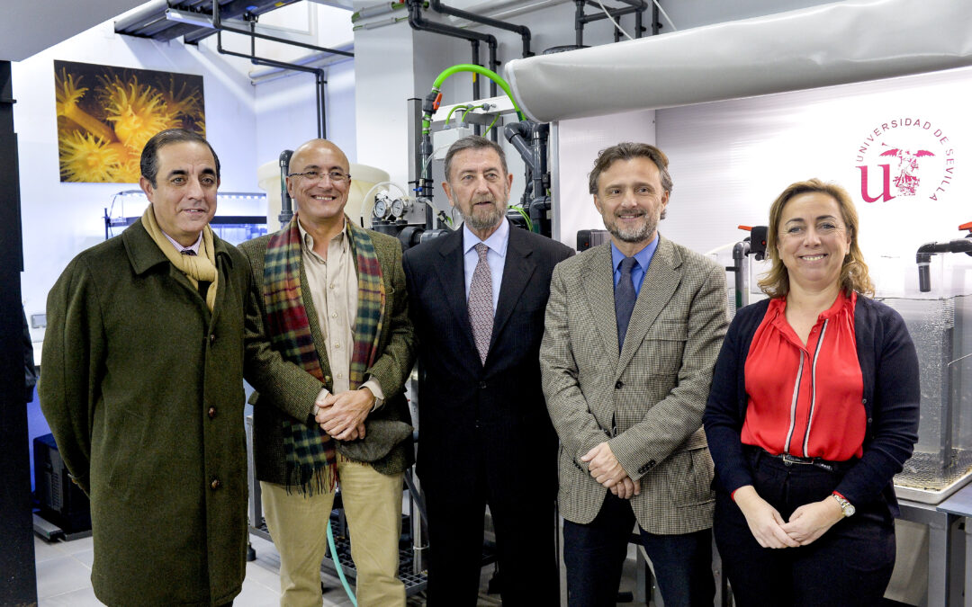 Inauguration of the Research Area of the University of Seville at the Aquarium