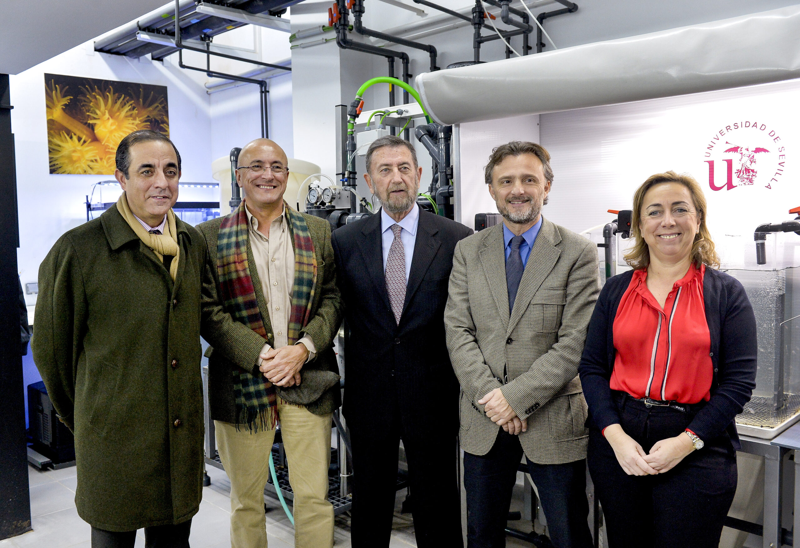 Inauguración del área de investigación de la Universidad de Sevilla en el Acuario