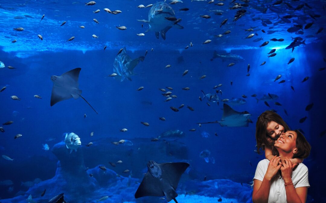 The Seville Aquarium Will Reopen its Doors on July 1