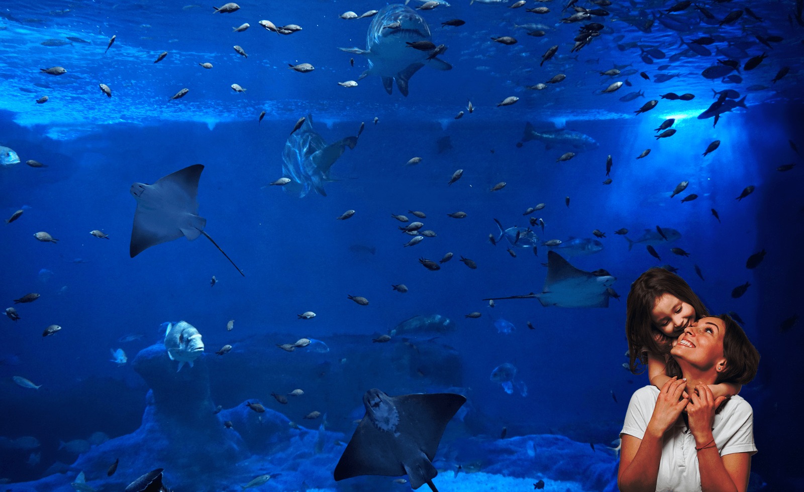 The Seville Aquarium Will Reopen its Doors on July 1