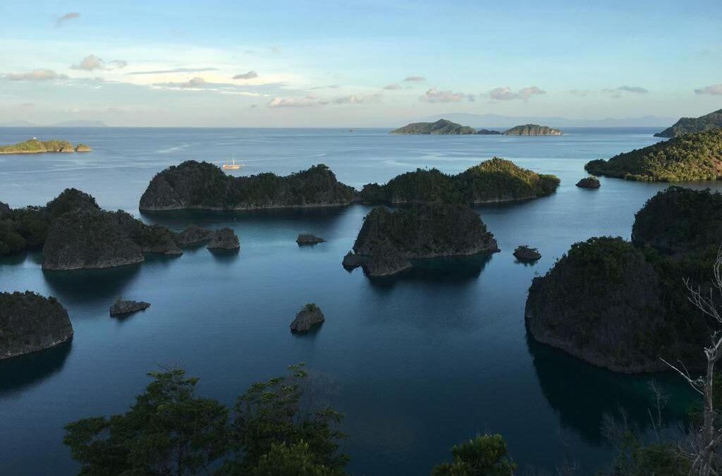 The Seville Aquarium Participates in the International Expedition “Elysium”
