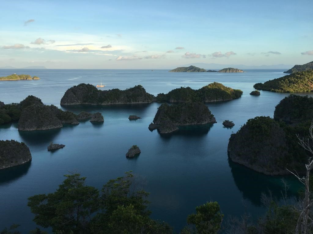 The Seville Aquarium Participates in the International Expedition “Elysium”