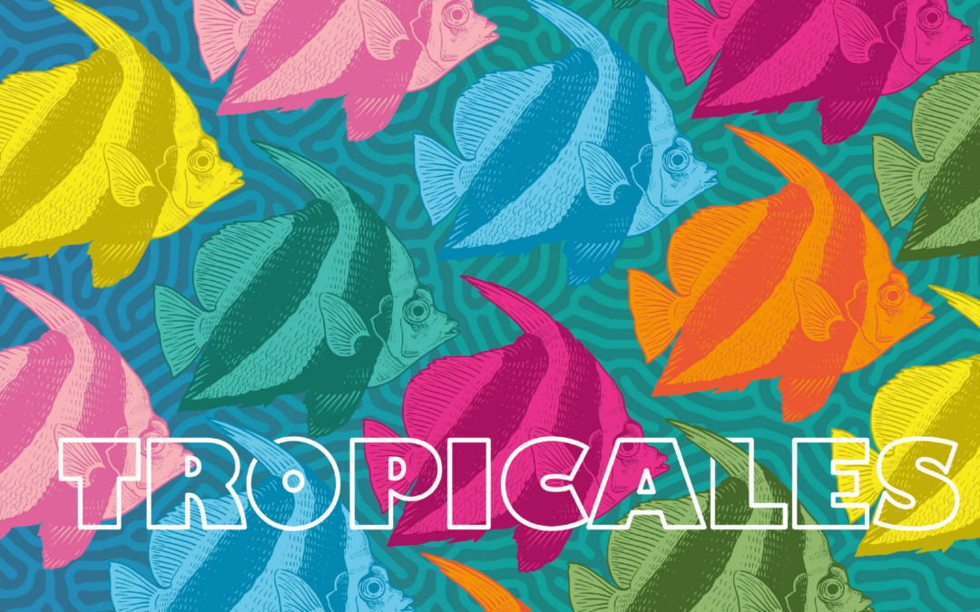 The Seville Aquarium Presents its Summer Campaign
