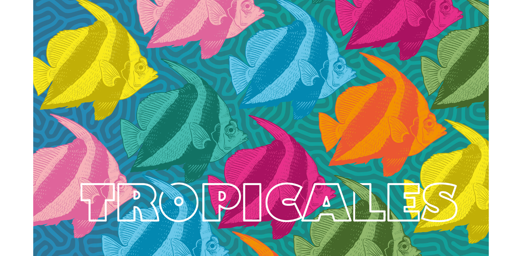 The Seville Aquarium Presents its Summer Campaign