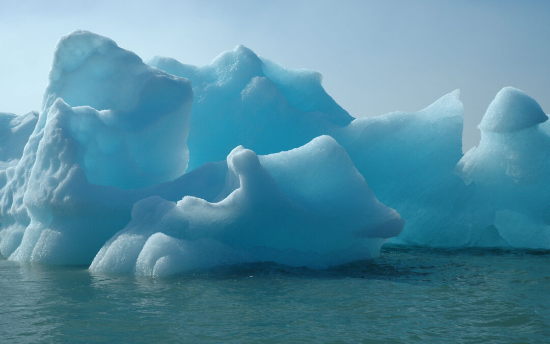 Antarctica Freezes the Seville Aquarium