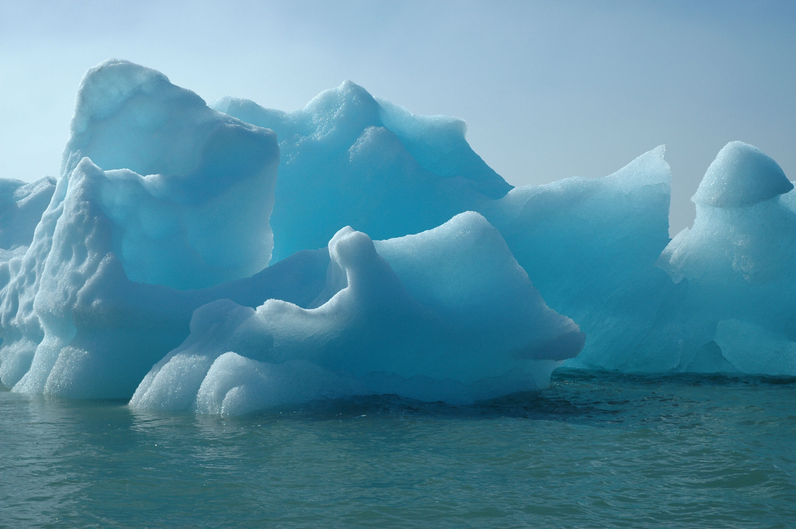 Antarctica Freezes the Seville Aquarium