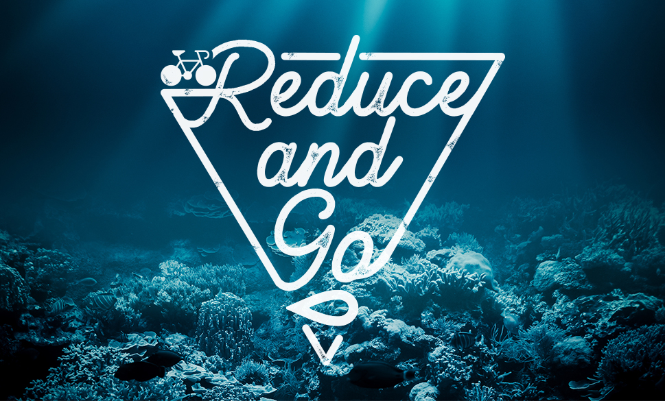 The Seville Aquarium Challenges Schoolchildren to Care for the Oceans
