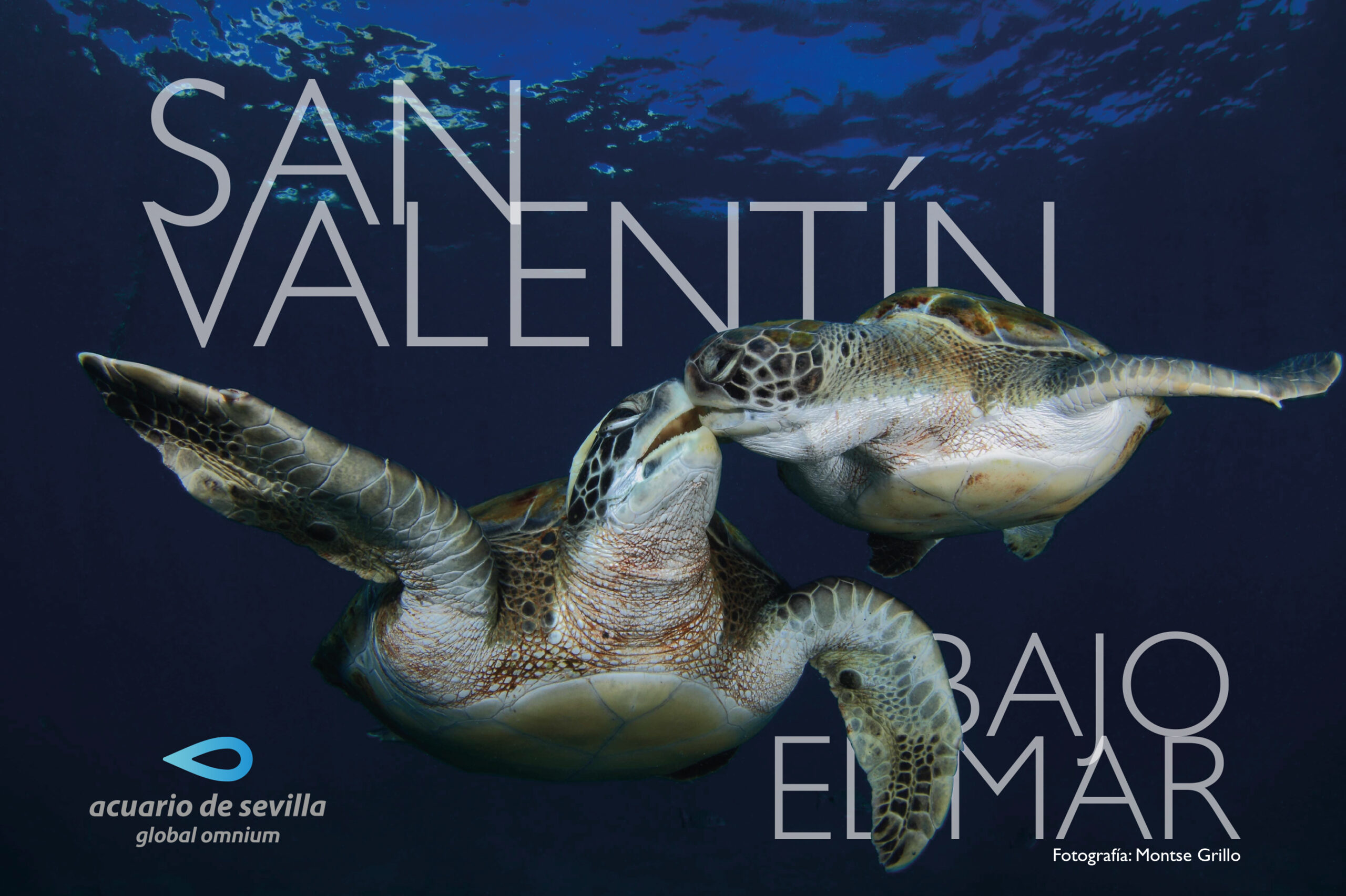 Celebrate Valentine’s Day under the Sea without Leaving Seville