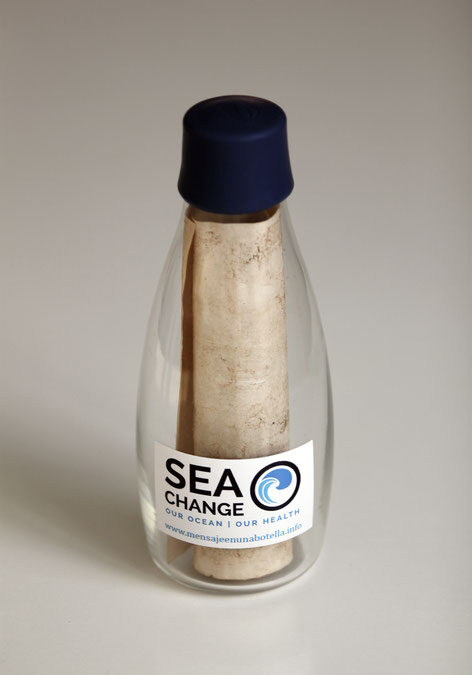 The Seville Aquarium Joins the SeaChange Project to Spread Ocean Culture to Citizens