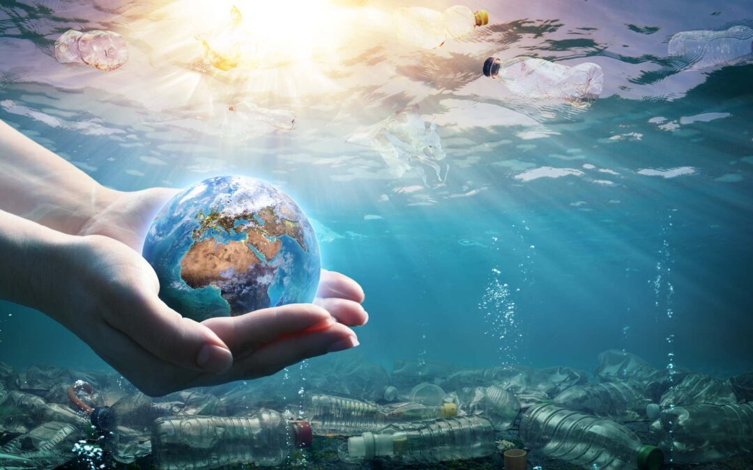 The Seville Aquarium Celebrates Climate Change Awareness Week